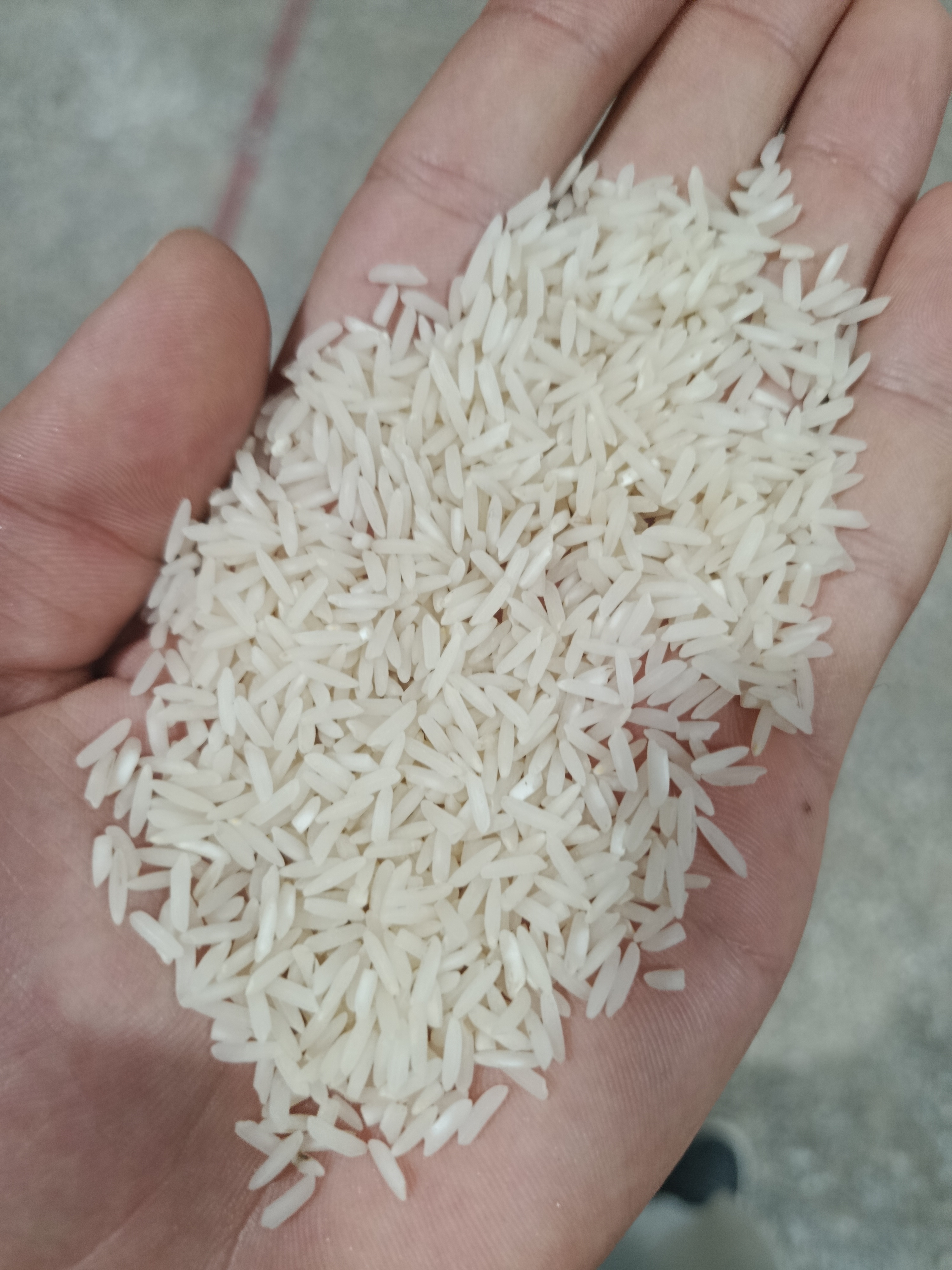 برنج ندا