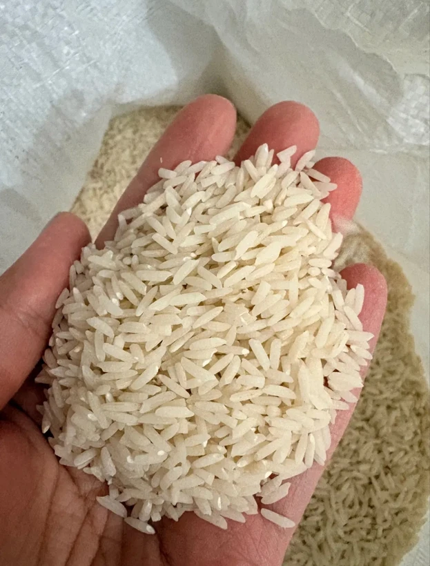 برنج طارم هاشمی اعلا